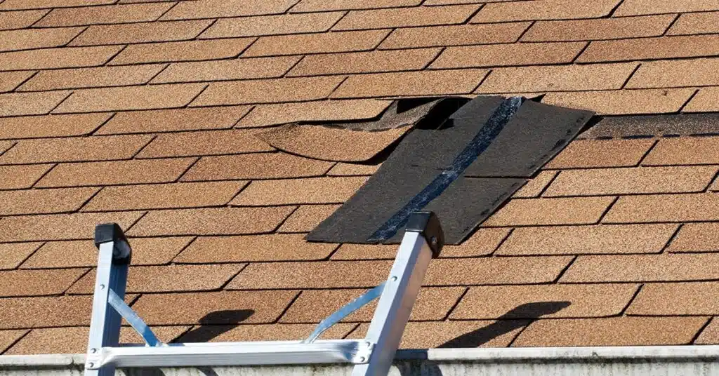 Roof Replacement