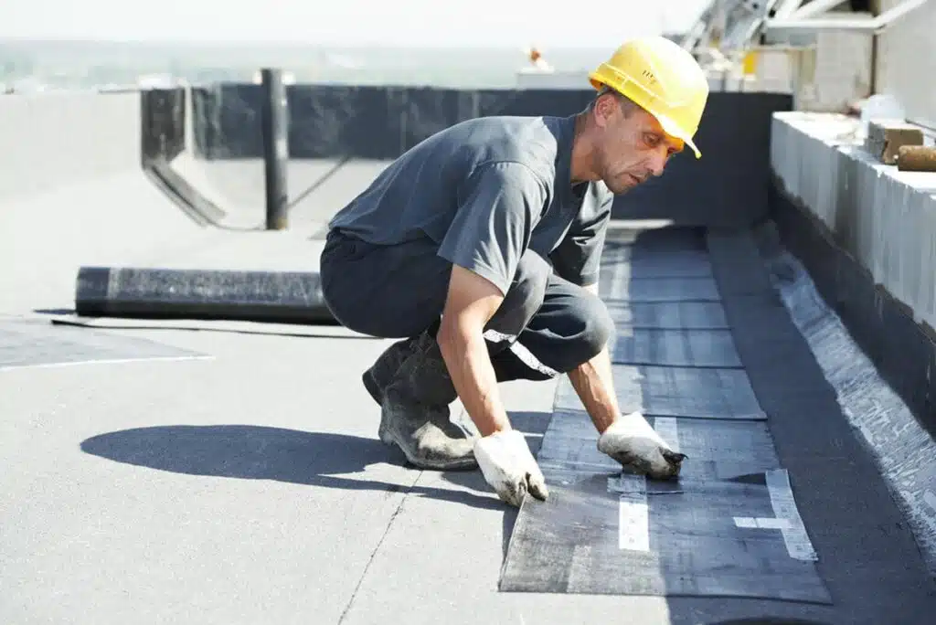 Professional Roofing Service