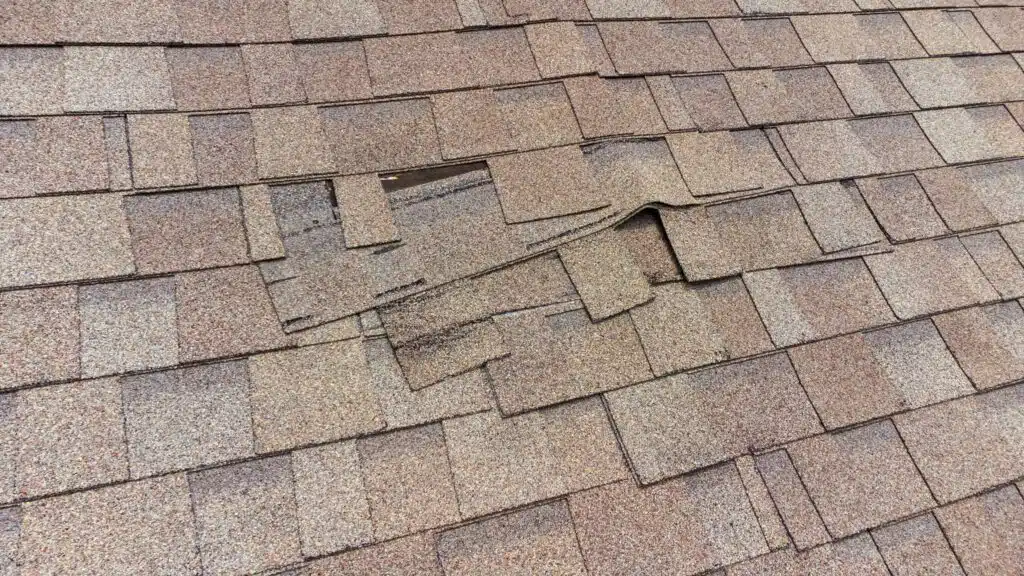 Roof Repair Services